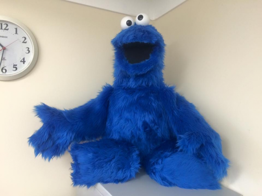 Cookie Monster, Full body Cookie Monster puppet, with clove…