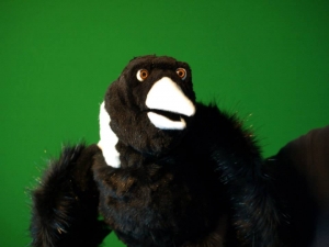 Custom Magpie Puppet