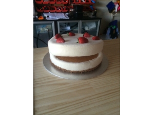 Custom Strawberry Cheesecake puppet