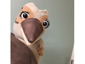Custom Kookaburra puppet 