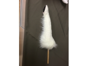 Custom Spitz Breed Dog Leg Work in progress image