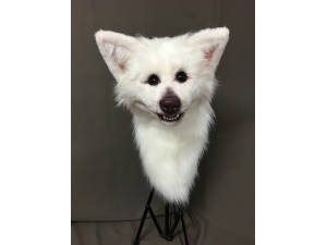 Custom Animal Puppets