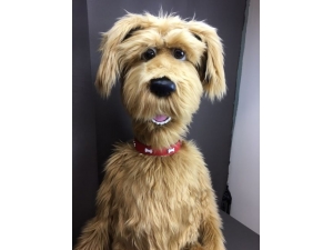 Rufus the Dog in Caramel Fur