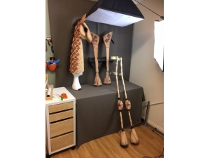 Lion King giraffe Work in Progress Picture