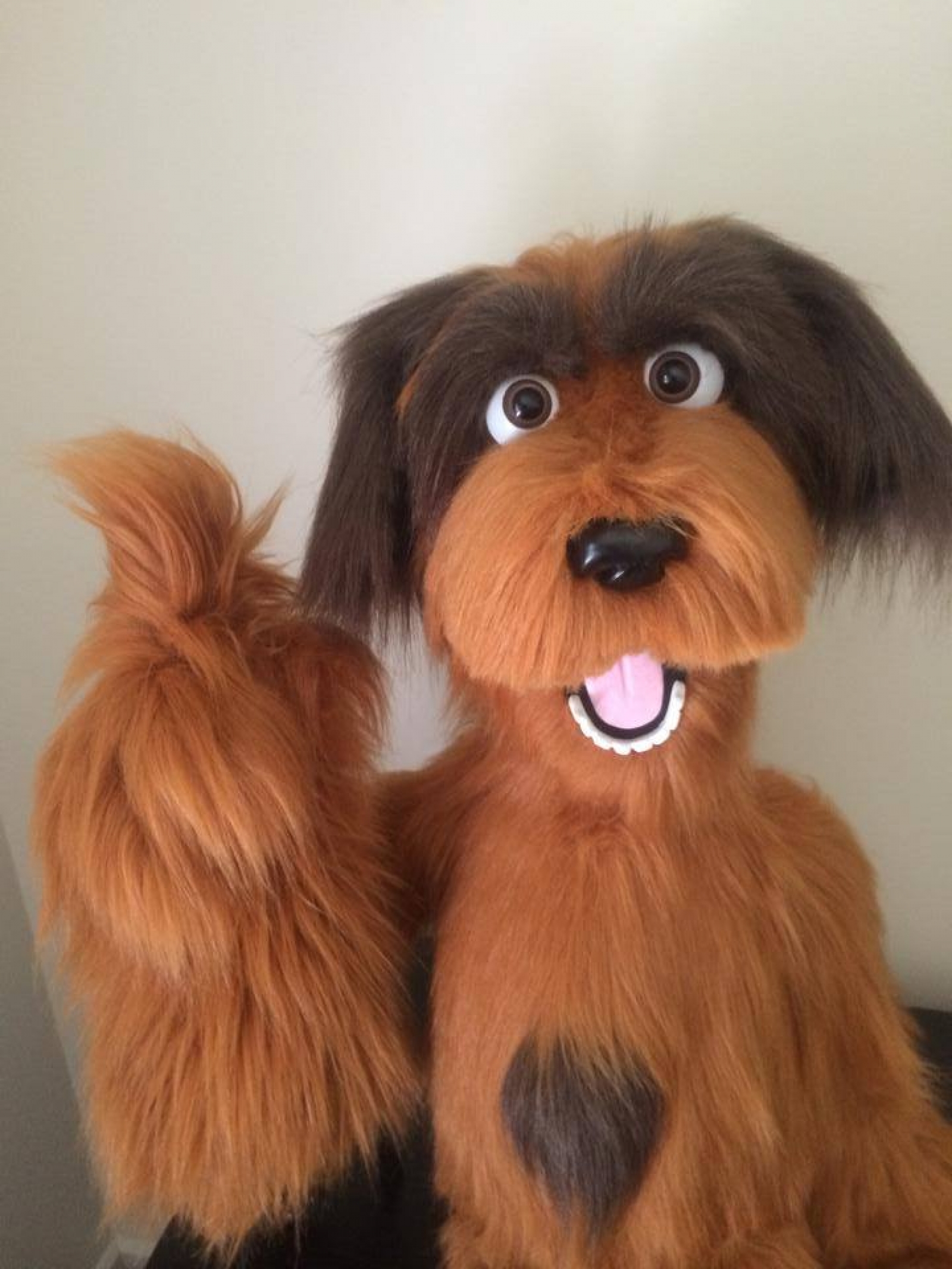 custom made dog teddy